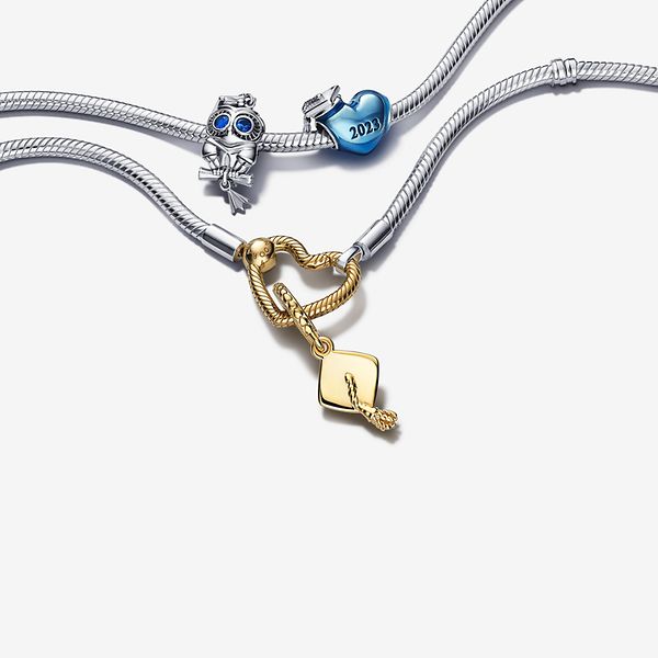 Zwei silberne Charm-Armbänder mit 3 silbernen, blauen und goldenen Charms für besondere Leistungen
